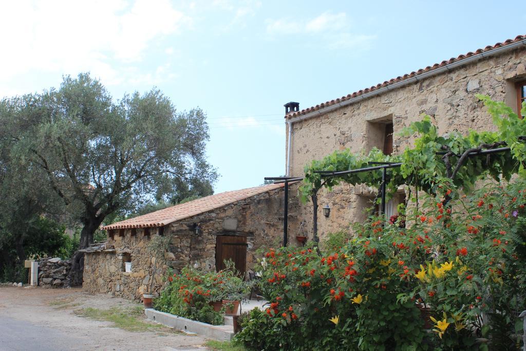 B&B Pietra-Monetta Pietra Moneta Екстериор снимка